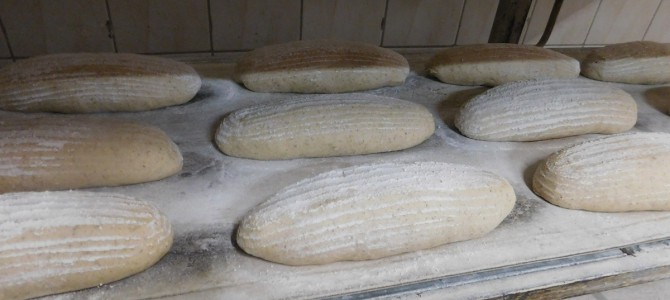 Wyprawa do piekarni