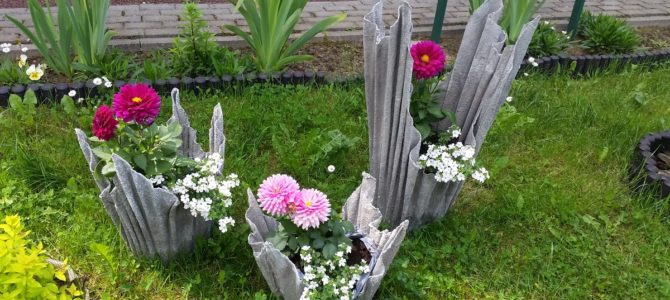 Ogrodoterapia w naszym Domu – AKTUALIZACJA