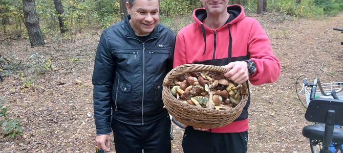 13 października 2026 r. Kolejne wspólne grzybobranie – jesienna tradycja naszych Mieszkańców 🍂🧺